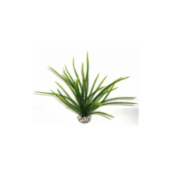 Acorus vert en plastique 25 cm