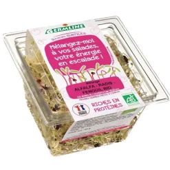 Alfalfa radis fenouil germés bio Germline - 60 g