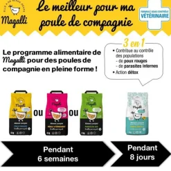 Aliment complet pour poule pondeuse Santé Plus en sac bleu de 4 kg