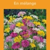 Allium en mélange botanic® - 10 bulbes