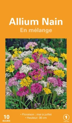 Allium en mélange botanic® - 10 bulbes