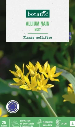 Allium moly botanic® - 25 bulbes