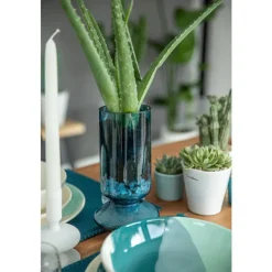 Aloe vera bio en pot H 25 x Ø 12 cm