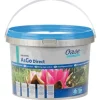 Anti-algues pour bassin direct, formule concentrée, OASE - 5L