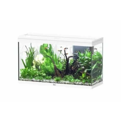Aquarium 202 litres équipé LED 2.0 et filtre Aquatlantis Splendid blanc - 100 x 40 x 61 cm