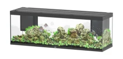 Aquarium coloris noir Aquatlantis Sublime Ultra LED 2.0 675 L - 200 x 60 x 75 cm