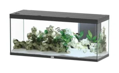 Aquarium coloris noir Aquatlantis Volga LED 2.0 450 L - 152 x 52 x 67 cm