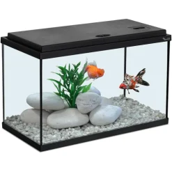 Aquarium coloris noir 20L - 40 x 20 x 25 cm