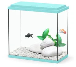 Aquarium Coralia avec filtre coloris turquoise Aquatlantis - 18 L