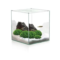Aquarium cuve nue Cube - 18L