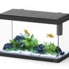 Aquarium d'eau froide et d'eau douce coloris noir Aquatlantis Explorer Vienna 34 L - 35 x 50 x 25 cm