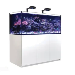 Aquarium eau de mer avec un meuble coloris blanc Reefer™ Deluxe XXL 625 Red Sea - 150 x 65 x 148 cm