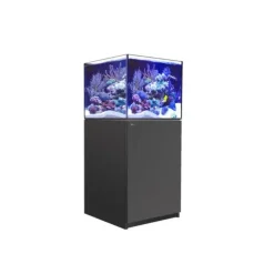 Aquarium eau de mer avec un meuble coloris noir certifié FSC® Reefer™ XL 200 Red Sea - 60 x 57,5 x 140 cm