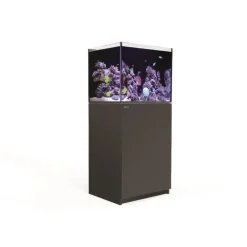 Aquarium eau de mer avec un meuble coloris noir Reefer™ 170 Red Sea - 60 x 50 x 137 cm