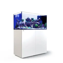 Aquarium eau de mer avec un meuble coloris blanc Reefer™ Peninsula P500 Red Sea - 125 x 60 x 160 cm