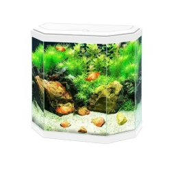 Aquarium équipé 30 Light blanc - 30L