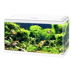Aquarium équipé Aqua 60 blanc - 54L