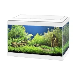 Aquarium équipé Aqua 20 light blanc - 17L