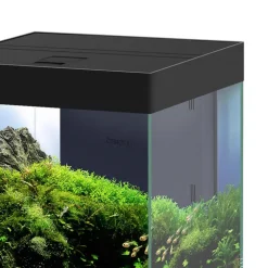 Aquarium équipé Ciano Emotions Pro 40 noir 52 L - 40 x 40 x 43 cm