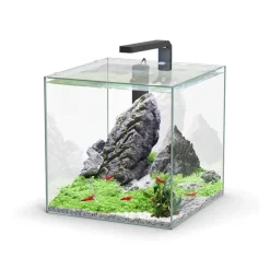 Aquarium équipé Kubus - 33L