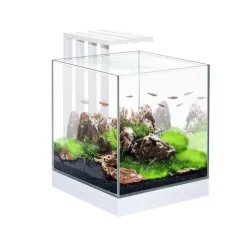 Aquarium équipé Nexus 25 LED blanc - 22L