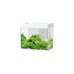 Aquarium tout équipé, blanc, CIANO Emotions Pro 60 - 108L