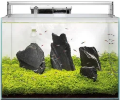 Aquarium tout équipé en verre blanc Superfish Scaper 90 - 60 x 40 x 38 cm