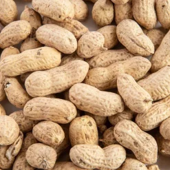 Arachides entières pour oiseaux Grain de Vie - 500 g