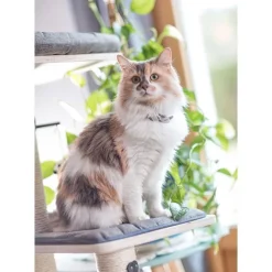 Arbre à chat avec panier et griffoircoloris bois Oslo - 109 cm