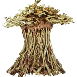 Arbre bonsaï mushroom, taille S - marque SUPERFISH - décoration d'aquarium