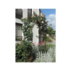 Arche double avec décor losange coloris fer vieilli - 250cm