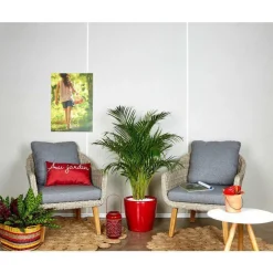 Areca lutescens et son pot Classico premium Ø 35 rouge