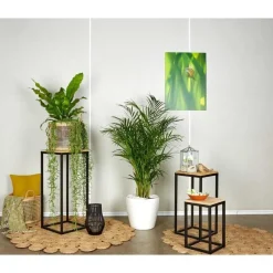 Areca lutescens et son pot Classico premium Ø 35 blanc