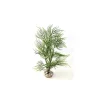 Asparagus vert en plastique 33 cm