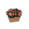Azalea pêche artificielle en jardinière Terra 27,5x13x33 cm