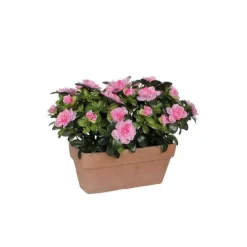 Azalea rose clair artificielle en jardinière Terra 27x13x33 cm
