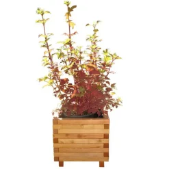 Bac carré en mélèze huilé 50x50xH.44.5 cm