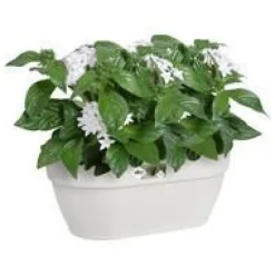 Bac mural en plastique recyclé blanc Soie Elho Vibia Campana - 35 x 16,2 x 14,8 cm