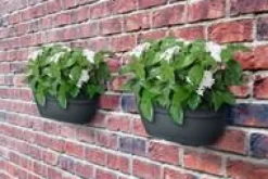 Bac mural en plastique recyclé gris anthracite Elho Vibia Campana - 35 x 16,2 x 14,8 cm