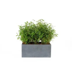 Bac rectangle Stream S/3 anthracite H.30 cm