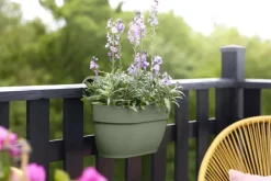 Balconnière plastique vert pistache Elho Vibia Campana easy hanger large - 24,1 cm