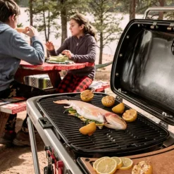 Barbecue à gaz en acier émaillé noir Weber Traveler - 110 x 58,4 x 94,5 cm