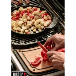 Barbecue à gaz noir Weber Traveler Stealth