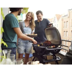 Barbecue électrique Weber Q2400