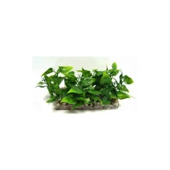 Barre de gazon vert en plastique 13 x 5 x 7 cm