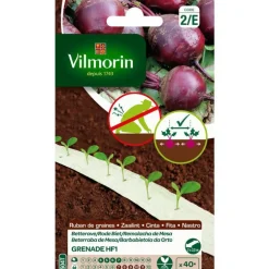 Betterave Grenade H F1 Vilmorin - Ruban de graines à semer