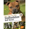 Bien Vivre avec mon Staffordshire Bull Terrier 64 pages 6 vidéos Éditions Eugen ULMER