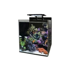 Bm Aquarium eau de mer Reef 60 35x45x40 cm