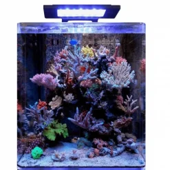 Bm Aquarium eau de mer Reef 60 35x45x40 cm