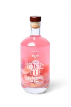 Boisson Arrangez moi Bio litchi fruit du dragon Quai Sud- 70 cl